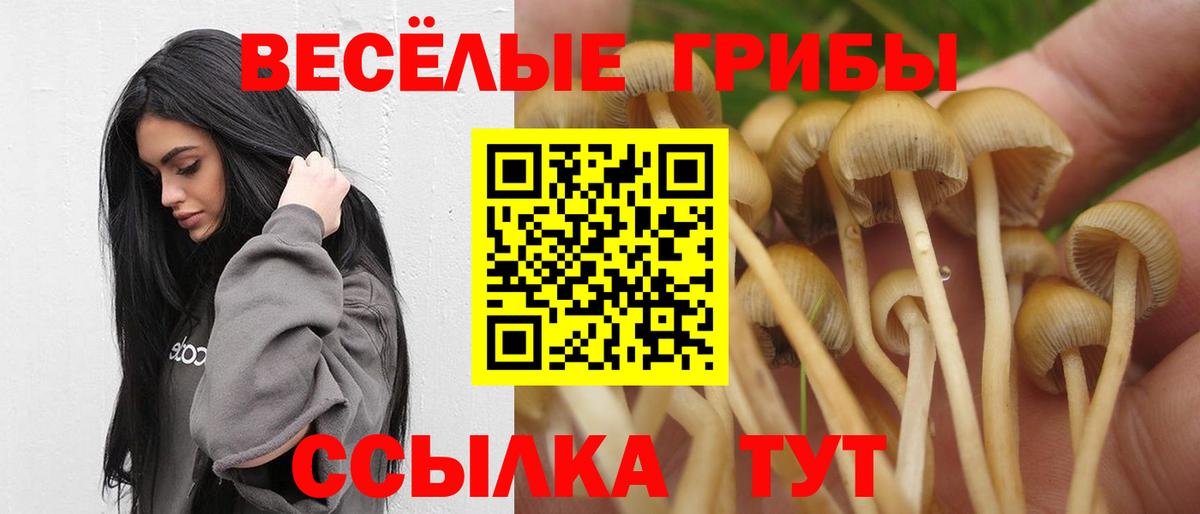 Псилоцибиновые грибы Magic Shrooms  Вход с VPN  Псилоцибиновые грибы GOLDEN TEACHER  Майский 